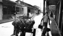 5_fritz_berger_palia_Lefkada