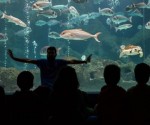 cretaquarium_ekpaideush_7-1024x410