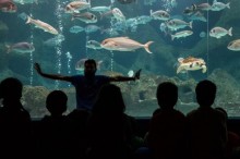 cretaquarium_ekpaideush_7-1024x410