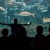 cretaquarium_ekpaideush_7-1024x410