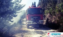 pyrosvestiki_lefkadas11