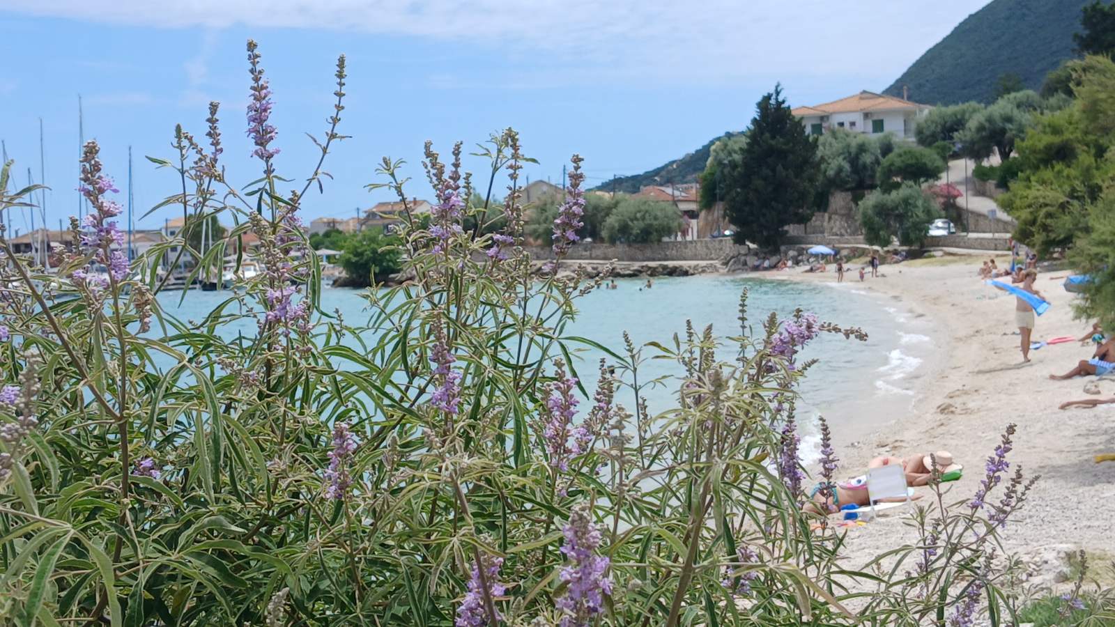 3_λιμνι