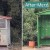 stasi_KTEL_paradeisos
