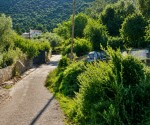 dromos_nekrotafeiou (1)