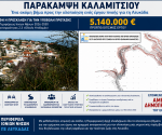 ΦΩΤΟ