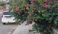 1_πεζοδρομιο_λιμνι