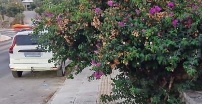 1_πεζοδρομιο_λιμνι