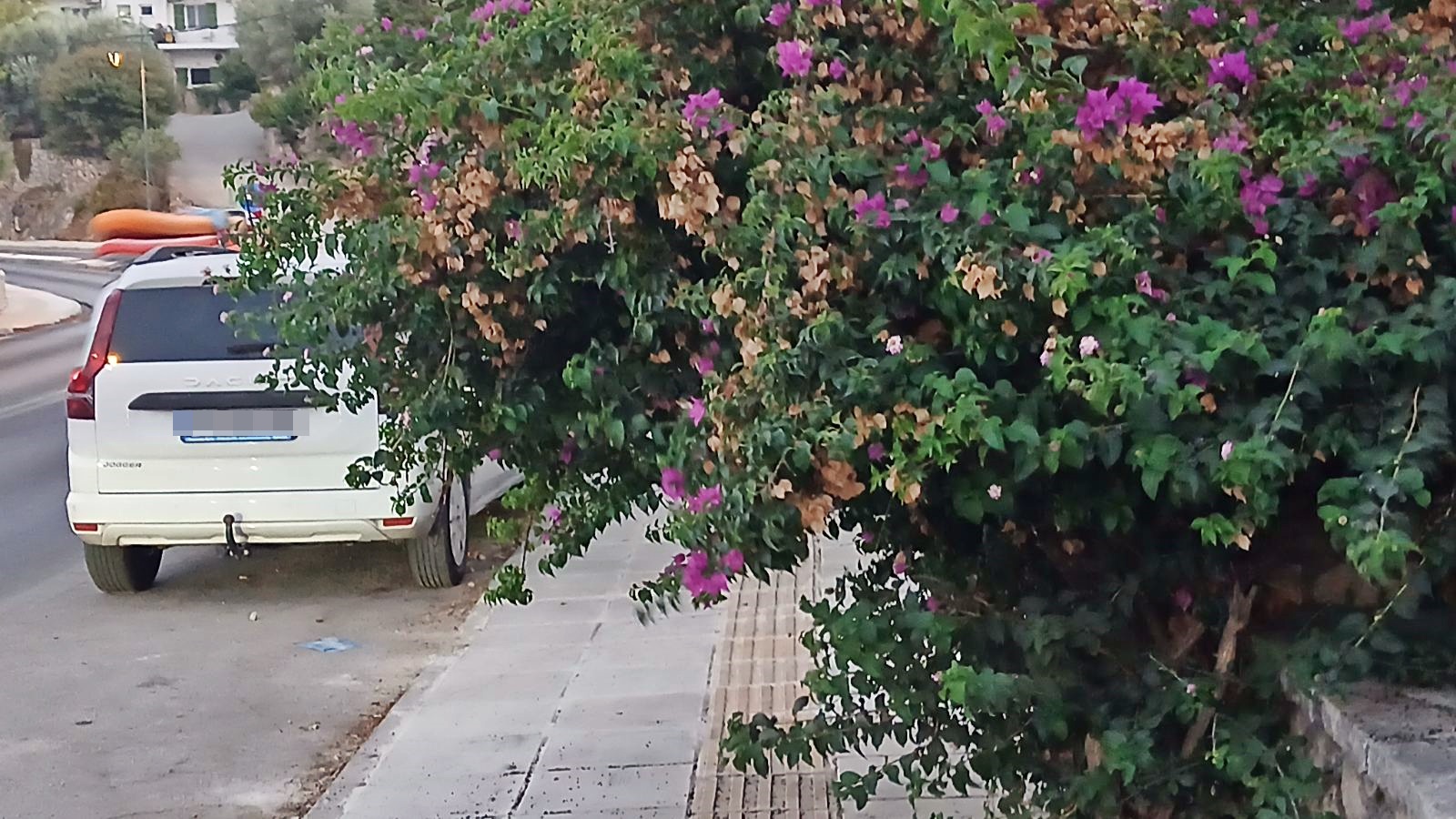 1_πεζοδρομιο_λιμνι