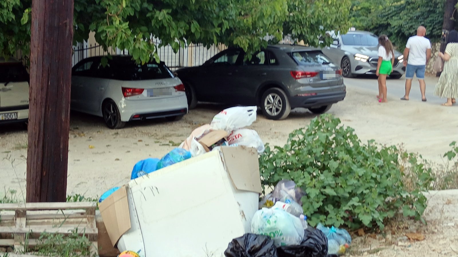 3_skoupidia_nikiana