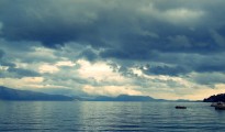 DSC004951