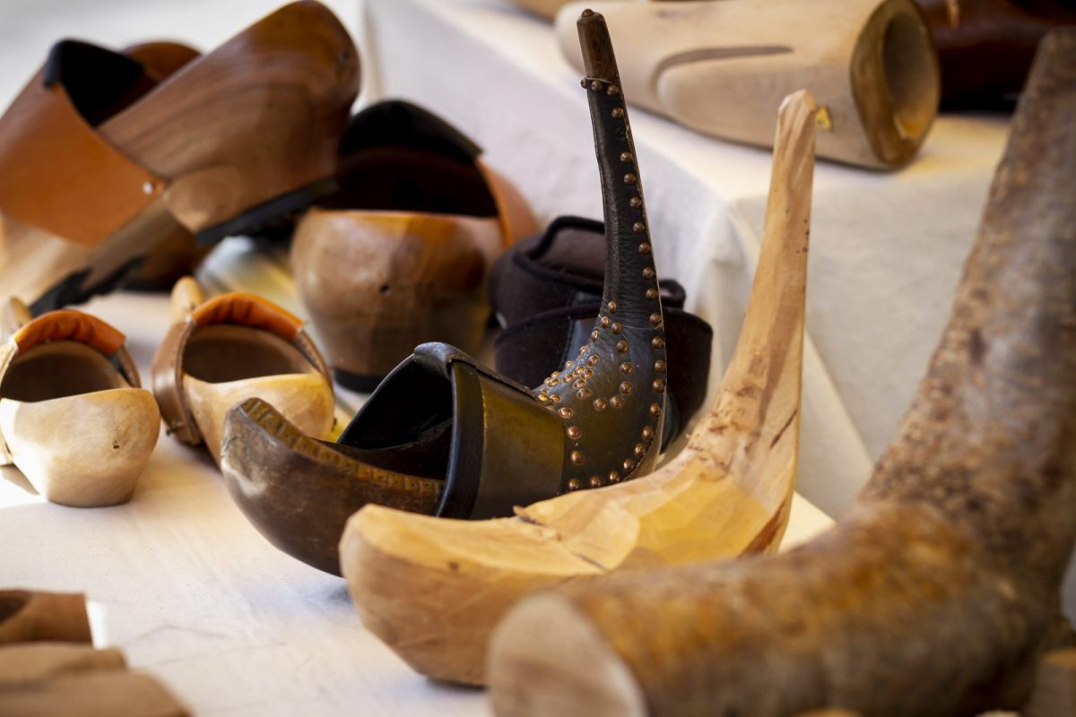 clogs3