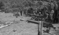 dse-45