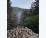 vlavi_nerou