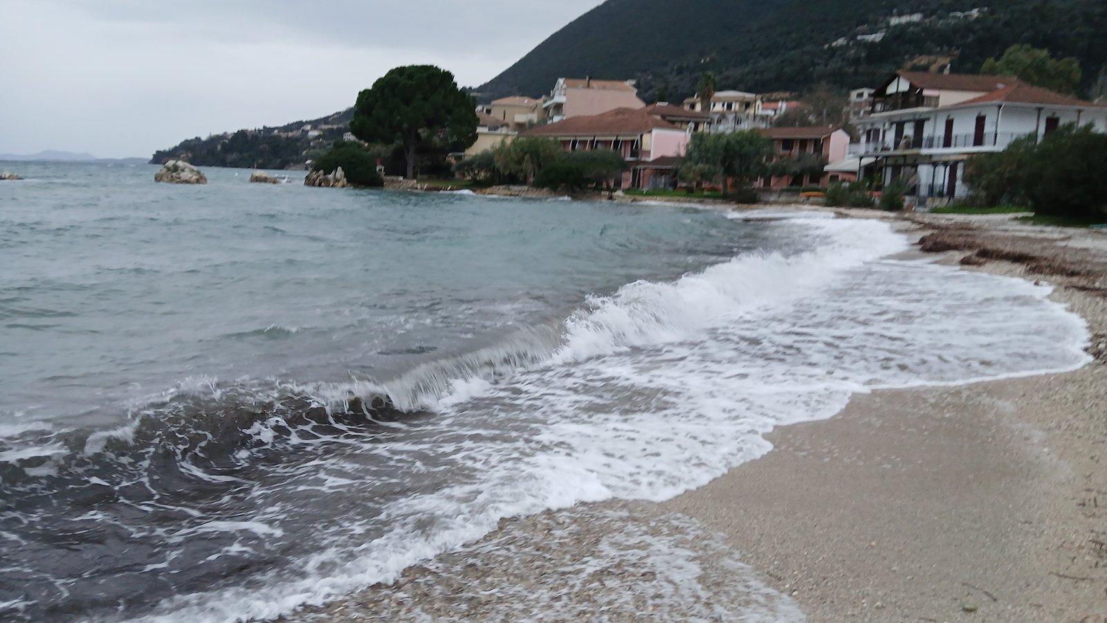 εικόνα_Viber_2026-02-05_10-34-13-124