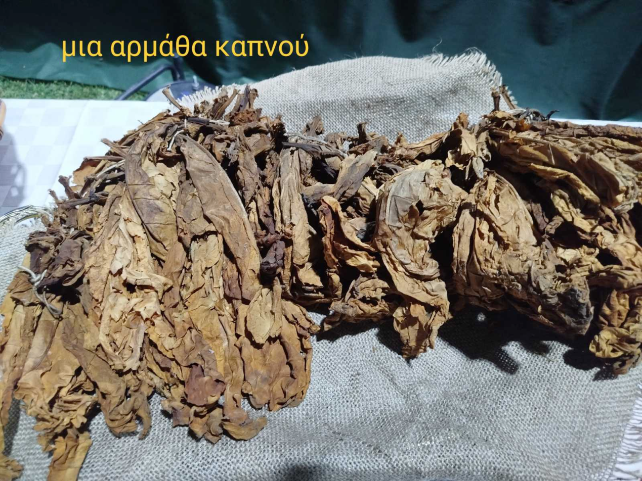 1_kapnos