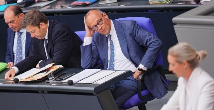 merz-weidel-afd