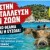 αφισα αγριογουρουνα ΑΤΟΚΟΣ 2