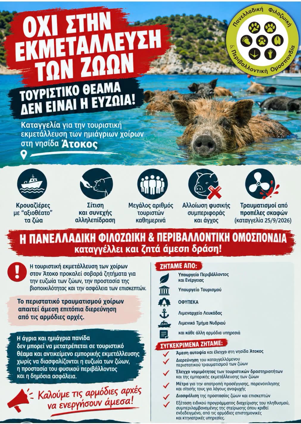 αφισα αγριογουρουνα ΑΤΟΚΟΣ