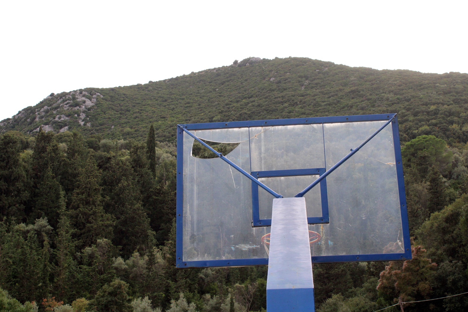 3_gipedo_basket