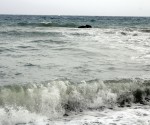 3_thalassa_nikiana1