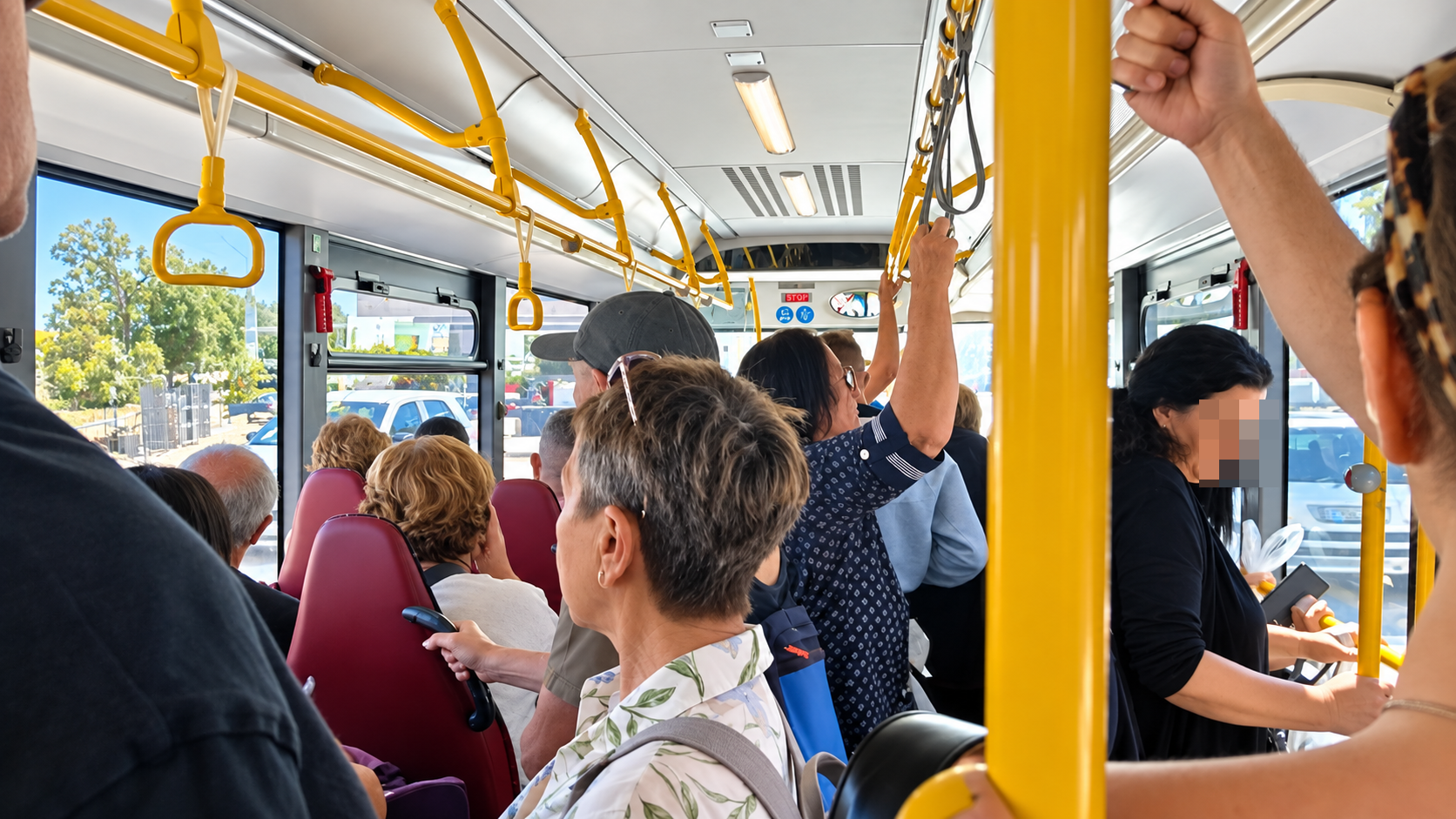 84e5ee12-539d-429c-bcbe-0aa70b98e42a