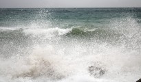 IMG_0890
