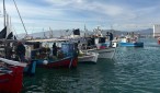 alieis-volos-2