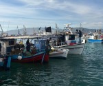 alieis-volos-2