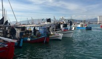 alieis-volos-2