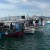 alieis-volos-2