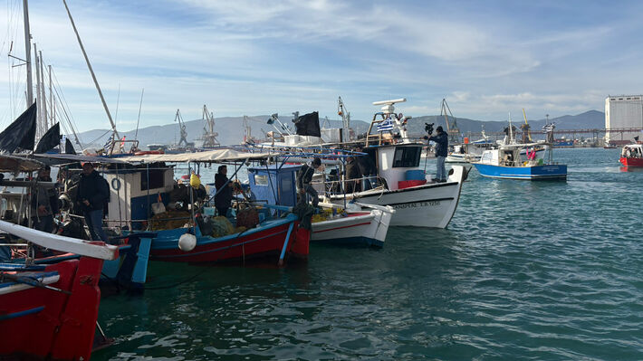 alieis-volos-2