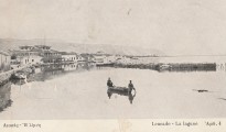 limnothalassa_lefkadas
